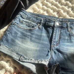 Articles of Society Casual Denim Cutoffs